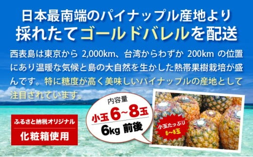 【2026年発送】ゴールドバレルたっぷり小玉セット