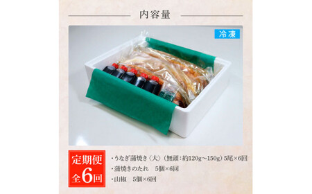 うなぎの蒲焼き(大) 5尾×6回 定期便 6ヶ月 定期コース タレ付き 山椒付き