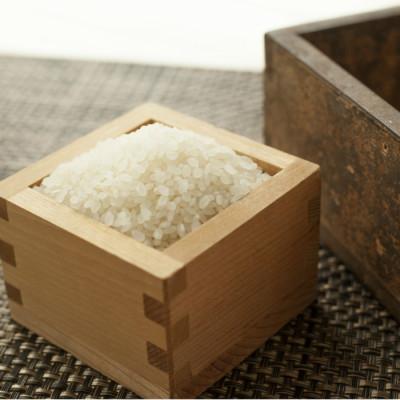 ふるさと納税 酒田市 コシヒカリ　5kg　精米 |  | 01