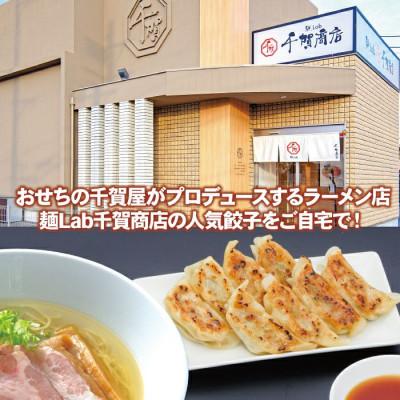 ふるさと納税 蒲郡市 千賀商店　特製餃子　2箱セット(48個入)_【G0704】 |  | 01