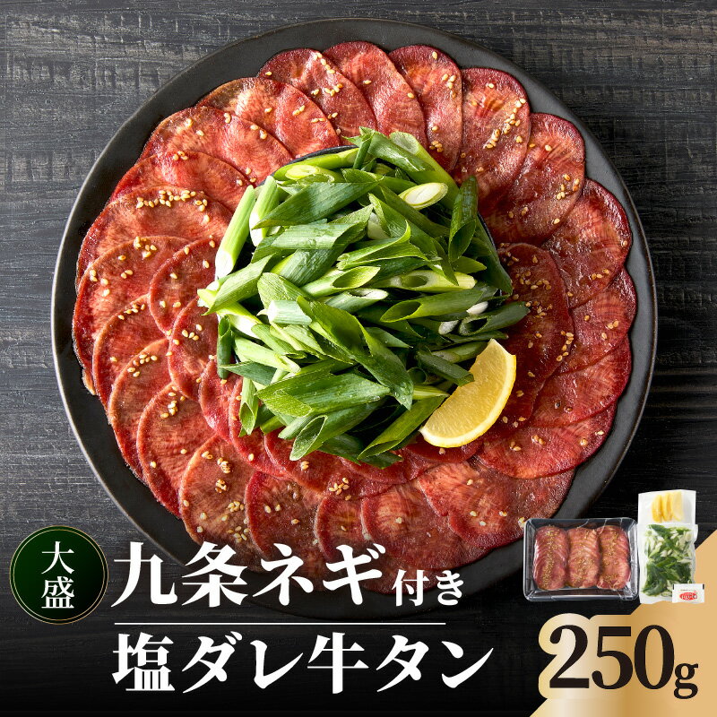 【ふるさと納税】【父の日ギフト】 ≪6月15日お届け≫ 塩ダレ牛タン 大盛九条ネギ 250g 牛タン セット 牛肉 京都九条ネギ 小分け 冷凍 真空パック 薄切りスライス BBQ 京都 牛たん 牛タン塩