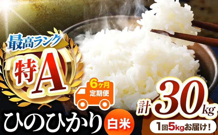 【 定期便 6回 】 熊本県産 白米 ひのひかり 5kg