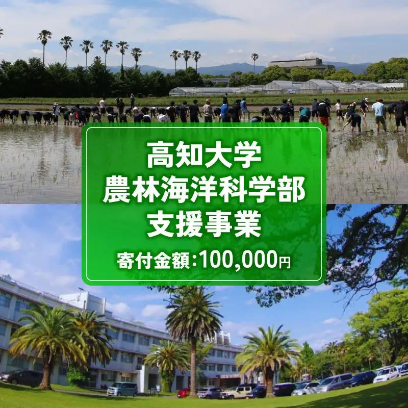 【返礼品なし/100,000円】高知大学 農林海洋科学部 支援事業(教育・研究・地域貢献を支える寄附)支援