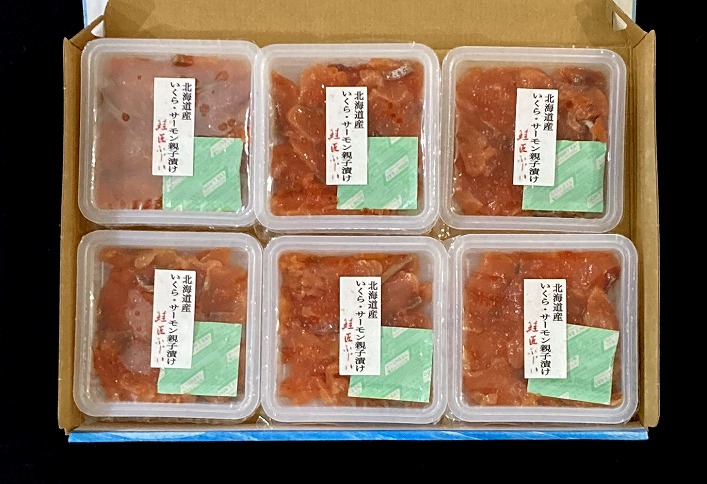 ＜鮭匠ふじい＞いくら・サーモン親子漬け80g×11P(小分け) B-42102