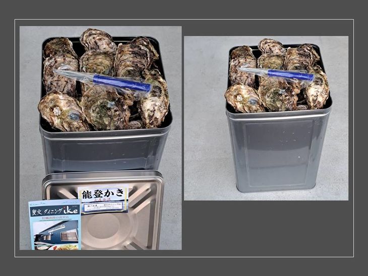 石川県七尾産　能登かき　殻付き　1斗缶（80～100個） 加熱調理用 ※離島への配送不可 ※2025年1月より順次発送