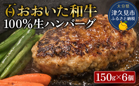 ハンバーグ おおいた 和牛100％ 生ハンバーグ 150g×6個 | 津久見市