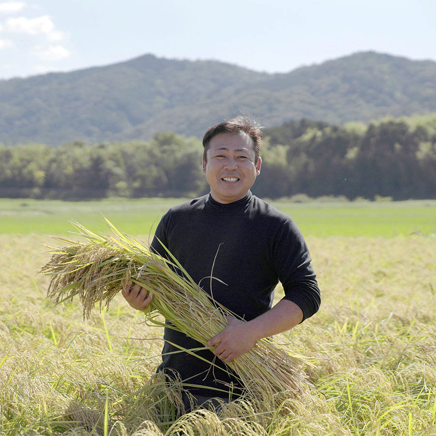 ＜十六代目米師又八のお米＞もっちり甘い「夢ごこち」5kg