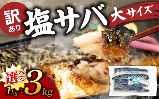 訳あり塩サバ フィレ3kg