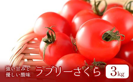 ミニトマト 富良野産 品種ラブリーさくら ミニトマト【3kg】【先行予約】
