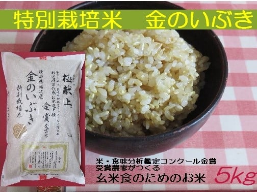 
【令和6年産米　冷めても美味しい玄米】特別栽培米　金のいぶき5kg[B5-2101]
