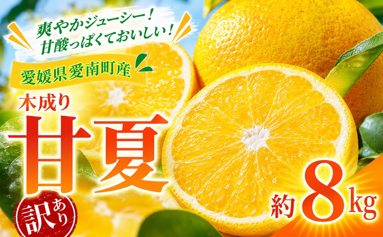 
                  訳あり 甘夏 8kg +傷み補償分1割程度増量 ふるさとチョイス限定価格 柑橘 かんきつ 蜜柑 愛媛 みかん 温州 みかん あまなつ 国産 こくさん mikan 果物 くだもの フルーツ デザート ジュース 果実 果肉 果汁 甘い ジューシー おいしい 濃厚 産地 直送 産直 特産品 河内晩柑 愛媛県 愛南町 愛南町青果市場
                