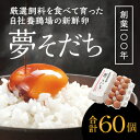 【ふるさと納税】H-56 創業100年の藤橋商店が育んだ「夢そだち(60個）」厳選飼料を食べて育った自社養鶏場の新鮮卵を♪