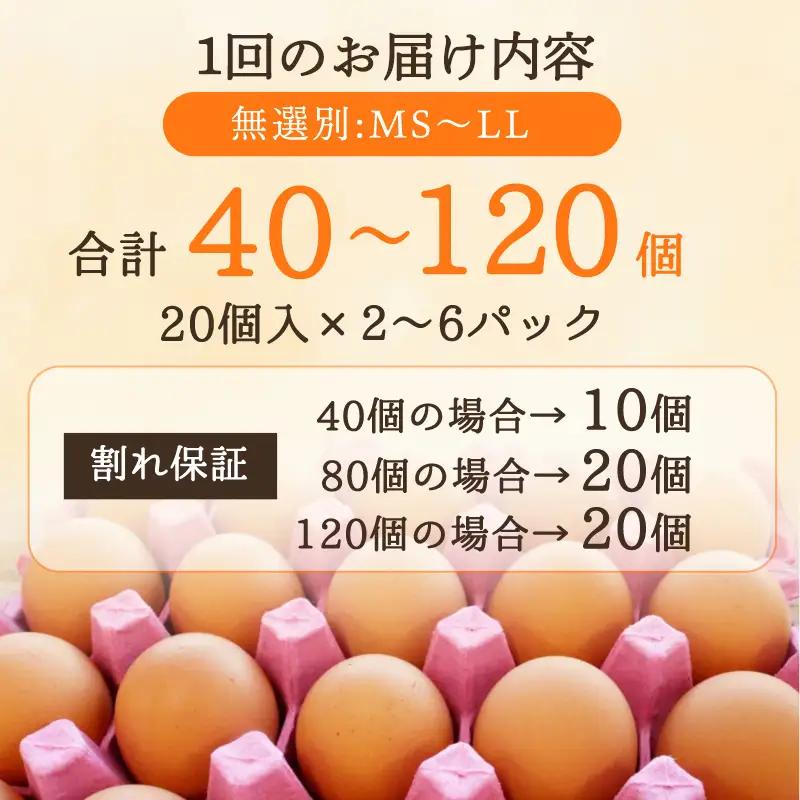 【ふるなびWEEK対象】 卵 赤たまご 40個 卵 【配送不可地域：北海道、沖縄、離島】
