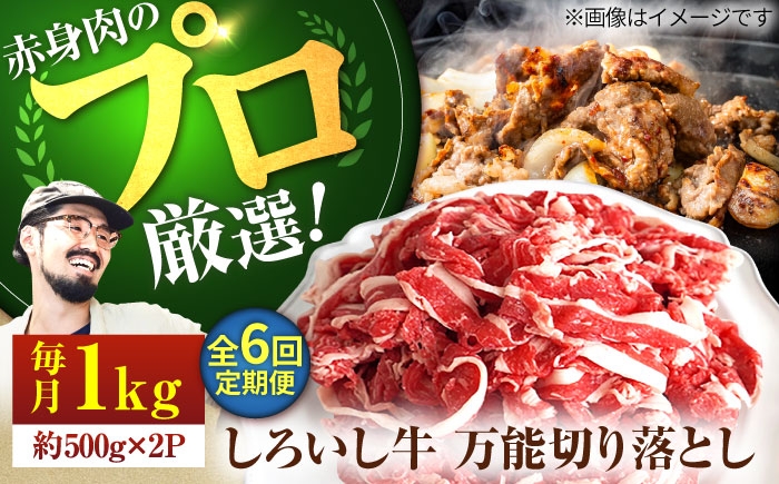 
                  【牧場直送】【6回定期便】佐賀県産 しろいし牛 万能 切落し 1kg（500g×2パック）【佐賀セントラル牧場】佐賀県産 肉 お肉 牛肉 切り落とし 国産 和牛 きりおとし 大容量 冷凍 九州 佐賀県 白石町  白石 [IAH134]
                