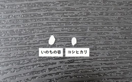 【令和7年産】嶺南ファームの嶺岡米「いのちの壱」 5kg　[0020-0103]