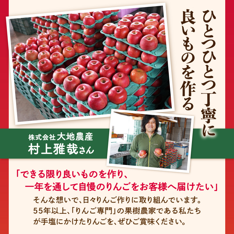 《先行受付》【2027年2月発送予定】 サンふじ約5kg・秀品【大江町産・山形りんご・大地農産】