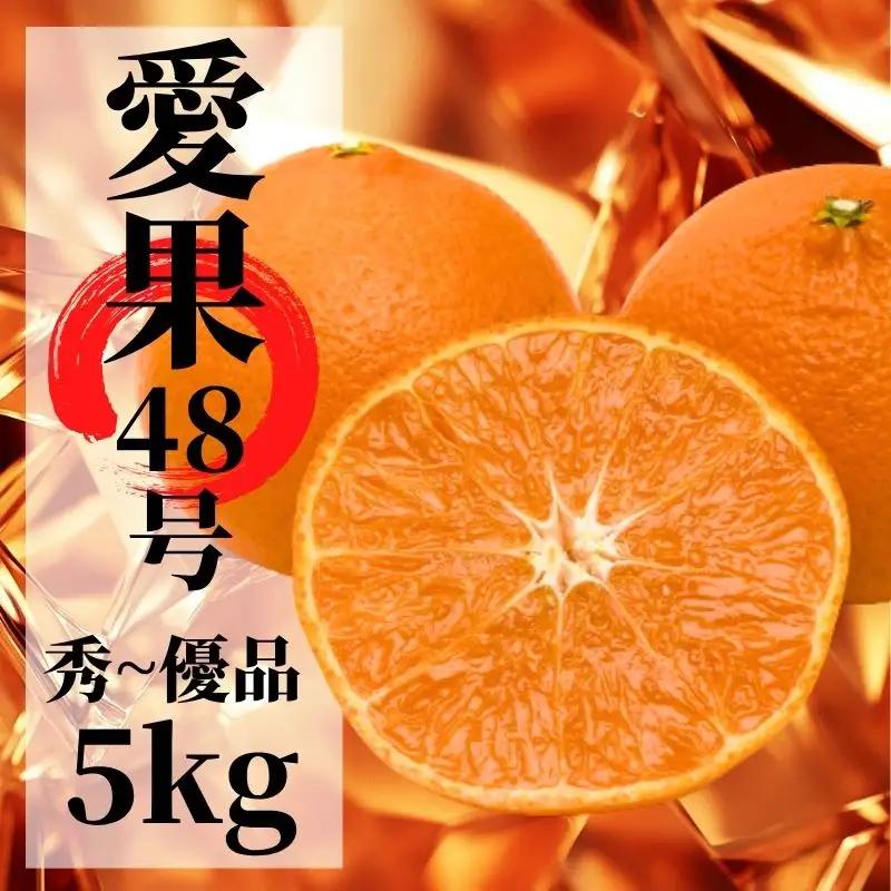 【2027年2月下旬頃から順次発送】愛果48号 秀?優品 約5.0kg | 愛媛 愛媛県産みかん 蜜柑 ミカン mikan みかん あいか 柑橘 お取り寄せ グルメ 期間限定 数量限定 果物 旬 愛媛県 松山市 【PT052】