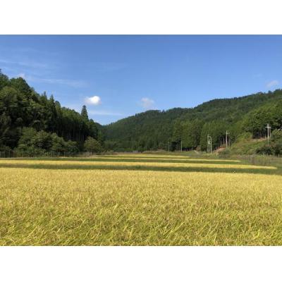 ふるさと納税 京都市 〈6か月定期便〉令和7年産コシヒカリ 精米5kg(2026年3月〜8月) |  | 01