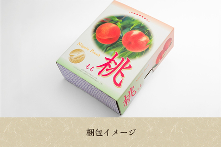 【2026年先行予約】新潟県産 厳選旬のもも 約3kg（1品種） 桃