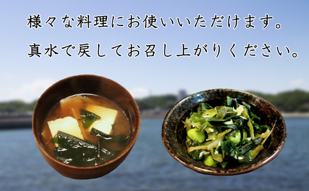 塩蔵わかめ 450g 冷凍 チャック袋入 お味噌汁 和物 ごはん 丼 サラダ 海藻 料理 愛知県 南知多町 師崎 ワカメ わかめ 海藻類 おすすめ 大人気 南知多産わかめ 愛知県産ワカメ