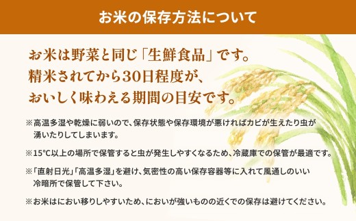 【新米/白米】【無洗米/令和8年産】 ◎最短2日後発送◎ コシヒカリ 10kg (5kg×2袋) 茨城県産 米 無洗米 小分け 新米 令和8年産 2026年産 茨城県 境町 K2454