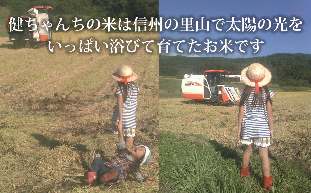 米・食味鑑定分析コンクール特別優秀賞受賞！冷めても美味しい健ちゃんちの米（コシヒカリ）　5kg｜ライスファーム小林
