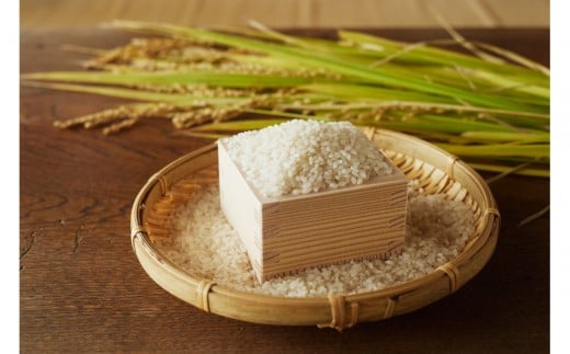 【令和7年産先行予約】「にじのきらめき」白米・10kg