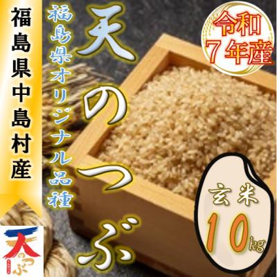 ふるさと納税 中島村 【数量限定/令和7年産】中島村産『天のつぶ』(玄米)10kg