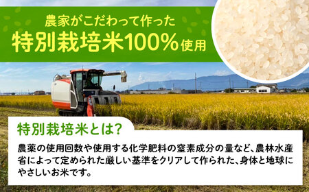 もち米 450g×2袋 もち米 米 愛西市 / 戸典オペレーター[AECT029]