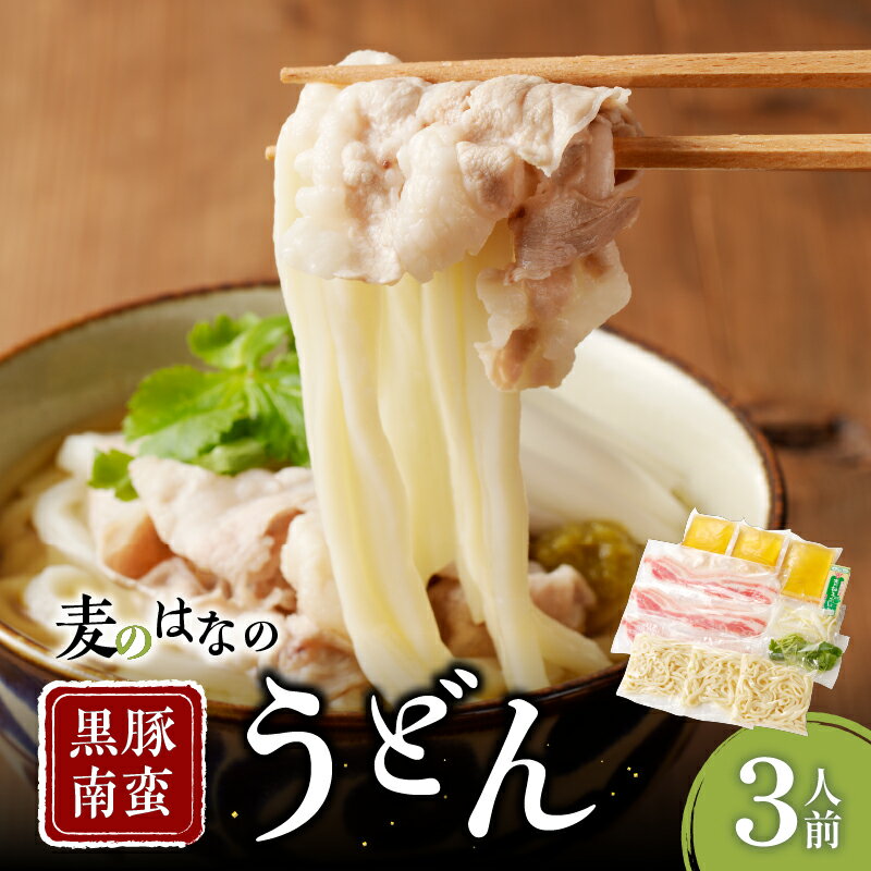 【ふるさと納税】 麦のはな の 黒豚 南蛮うどん 3人前 うどん 麺 麺類 蕎麦 手打ちうどん 肉うどん 豚 肉 鹿児島県産 鹿児島市 出汁 こだわり 謹製 粋麺麦のはな えん ふるさと納税 鹿児島 おすすめ ランキング プレゼント ギフト