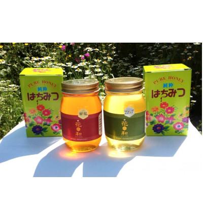 ふるさと納税 茅野市 信州産アカシアはちみつ600g・百花はちみつ600gセット