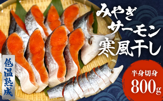 鮭 切り身 みやぎ サーモン 寒風干し 800g 宮城県産銀鮭 銀鮭 国産 さけ サケ シャケ 魚 切り身 冷凍 小分け 焼き魚 さかな 切身 おかず ご飯のお供 弁当 簡単調理 魚介 海鮮 熟成 高品質 高鮮度 低温熟成 宮城県 石巻 石巻市 送料無料