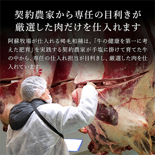 【10セット限定】GI認証取得 くまもとあか牛 １ポンドロースステーキ（阿蘇の肉ソース付）