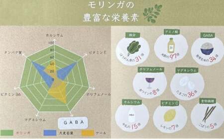 モリンガ パウダー 50g×2袋 スーパーフード 健康