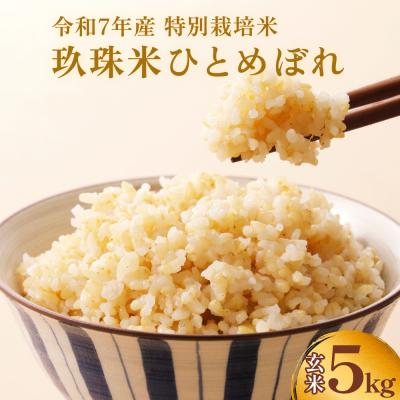 ふるさと納税 玖珠町 【ふるさと納税】玖珠米 令和7年産 ひとめぼれ 玄米 5kg 大分県玖珠町 米 特別栽培米 特A