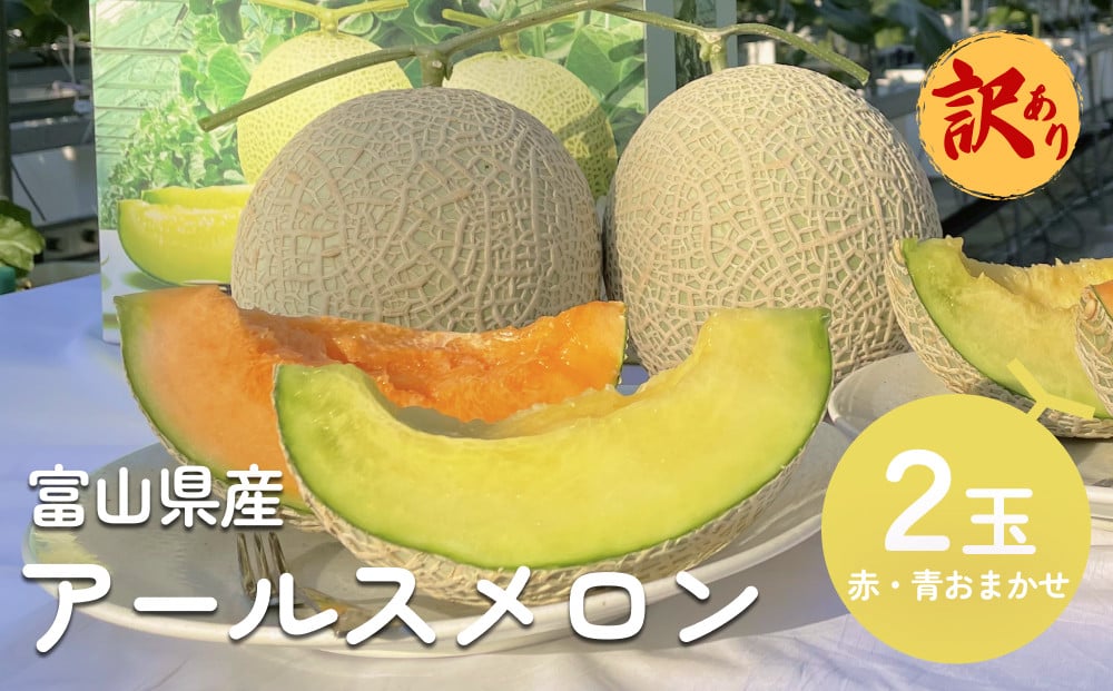 
            【訳あり】富山県産 アールスメロン（おまかせ計2個）  富山県 氷見市 メロン めろん 果物 くだもの フルーツ
          