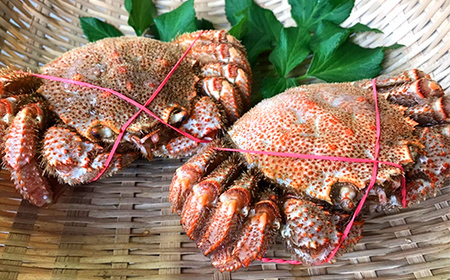 北海道産毛蟹900g～1.0kg前後×2尾 北海道 カニ 毛ガニ 毛蟹 かに かに味噌 急速冷凍 活蟹 活毛蟹 活毛ガニ F4F-3259