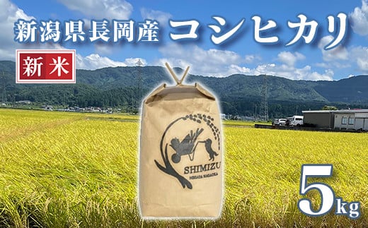 
            N5-051A新潟県長岡産コシヒカリ5kg
          
