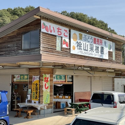 【先行受付】2026年9月順次発送 桧山果樹園 茨城県 ブランド梨 恵水3kg【配送不可地域：離島・沖縄県】