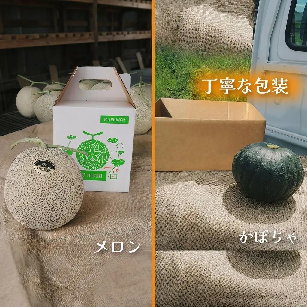 メロンかぼちゃ詰合せ 富良野産【 メロン 計6kg かぼちゃ 計15kg】【定期便2回】