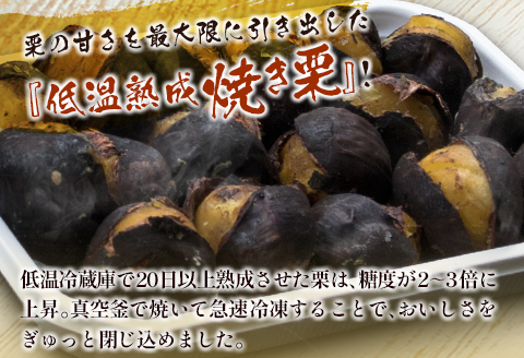 ＜先行予約＞宮崎県産 低温熟成栗［焼き栗］計500g（250g×2パック）おやつ 秋の味覚 お取り寄せ 【B617-25】