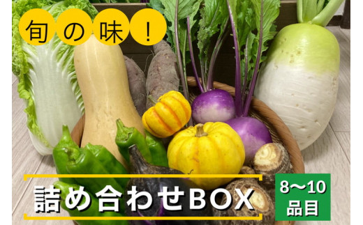 
旬の味！お野菜 詰め合わせ BOX 8～10品目（栽培期間中 農薬・化学肥料不使用）
【めぐる農園】京都 亀岡 京野菜 農家より直送
