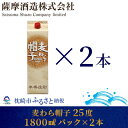 【ふるさと納税】【熟成麦焼酎】「麦わら帽子」25度 1800ml パック 2本 A8-54【1166654】