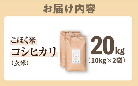 【食味最高ランク特A 2年連続受賞】【減農薬米】滋賀県湖北産 湖北のコシヒカリ 玄米20kg　滋賀県長浜市/株式会社エース物産[AQAK005]