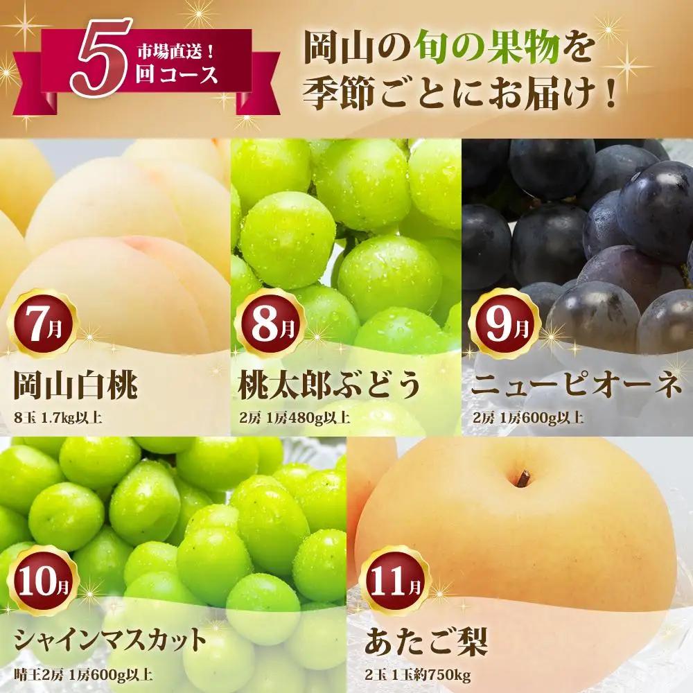 フルーツ 定期便 2027年 フルーツ王国 岡山を堪能 5回コース 桃 もも 葡萄 ぶどう 梨 なし岡山県産 国産 果物 セット ギフト