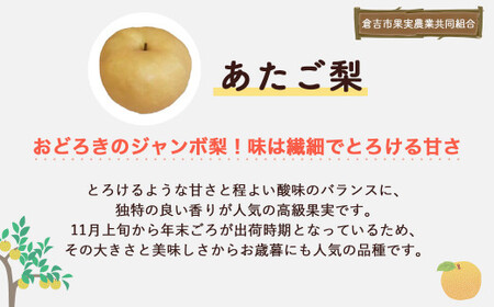 あたご梨 【倉吉産】 ５ｋｇ（倉吉市果実農業共同組合） 梨 あたご梨 なし 鳥取 5kg 果物 フルーツ 和梨 先行予約 数量限定 詰め合わせ 甘い ジューシー 大玉 やわらかい 人気