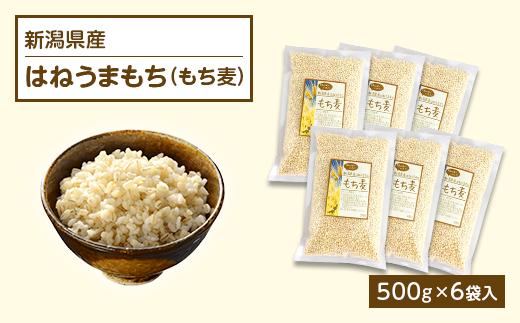 
G8-13新潟県産はねうまもち（もち麦）500g×6袋入
