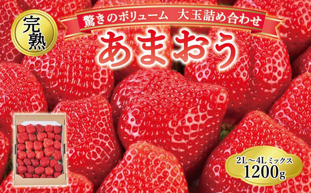 【2027年1月～4月出荷分予約販売】★開けてびっくり★驚きのボリューム完熟あまおう大玉詰め合わせ1200g