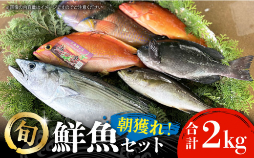 
【五島列島・直送】朝獲れ！鮮魚セット2kg 鯛福丸水産/五島市 [PDP008]
