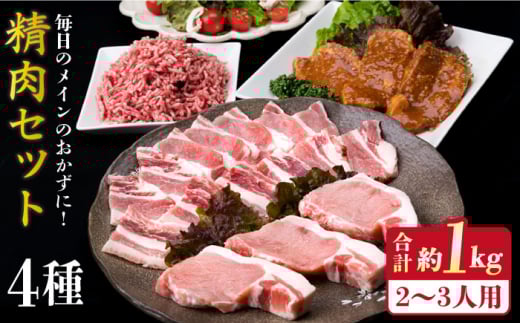 【使いやすい豚肉＆牛肉セット】毎日のメインのおかずを彩る 精肉 セット 4種 ( 約1kgg ) 2〜3人前 4種 糸島市 / 糸島ミートデリ工房 [ACA200] 和牛 牛肉 豚肉 鶏肉 BBQ トンカツ 焼肉 ハンバーグ ミンチ ひき肉 惣菜